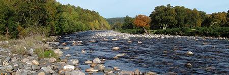 Catchment Management