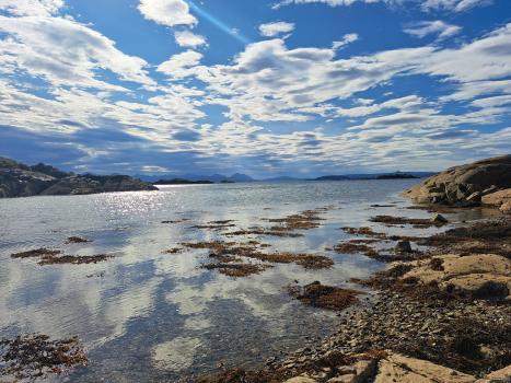 Scottish Coastline - Photo credit: Rebekah Burman, James Hutton Institute