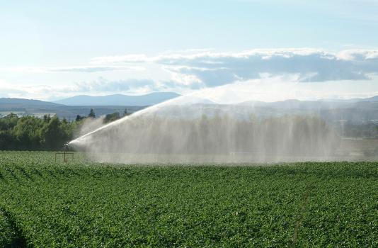 Field being irrigated with mountains in the background - Photo credit: JHI Field being irrigated with mountains in the background - Photo credit: JHI