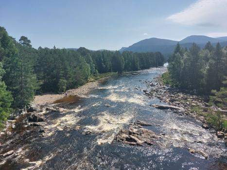 River Dee with a tree line either side. A hill can be seen in the background. Photo credit: Rachel Helliwell River Dee with a tree line either side. A hill can be seen in the background. Photo credit: Rachel Helliwell