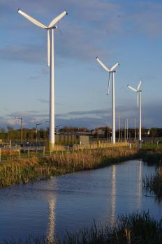 Windfarm flicker impacts on Atlantic salmon