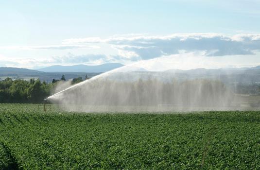 Irrigation - Photo credit: The James Hutton Institute 