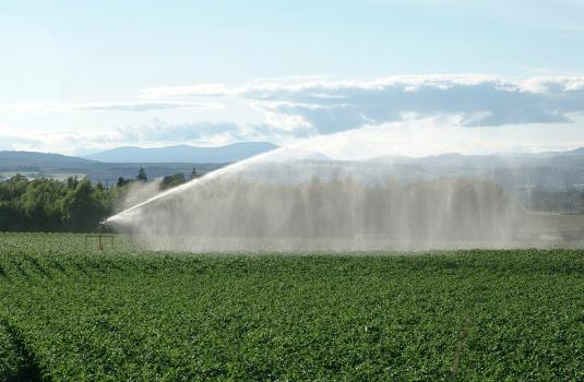 Irrigation - Photo credit: The James Hutton Institute Irrigation - Photo credit: The James Hutton Institute