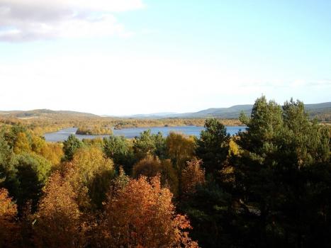 Autumn forest with loch in background - Photo credit: Carol Taylor