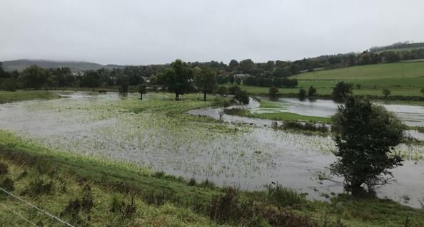 Flooded river onto field - Photo Credit: Andrew Tabas