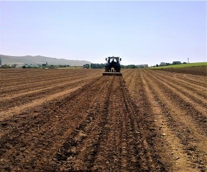Ploughed farm field