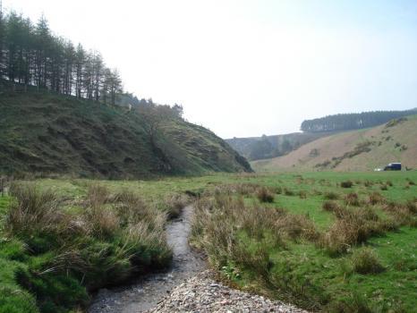 Impact of riparian invasive non-native plant species on freshwater habitats and species; Cover photograph courtesy of: Jenni Stockan.