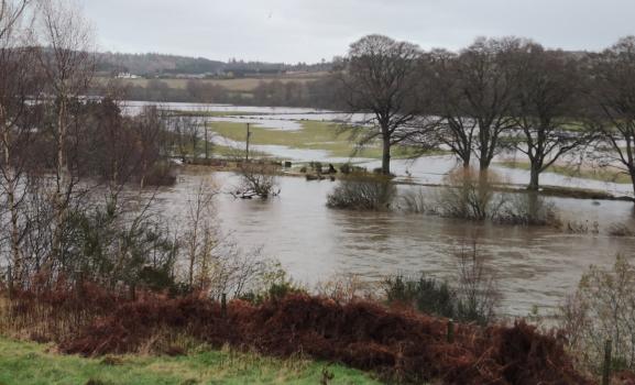 Flooded Field - Photo Credit: Gordon Henderson