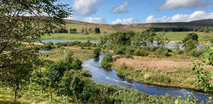 River with trees planted either side. Photo credit: Mark Wilkinson