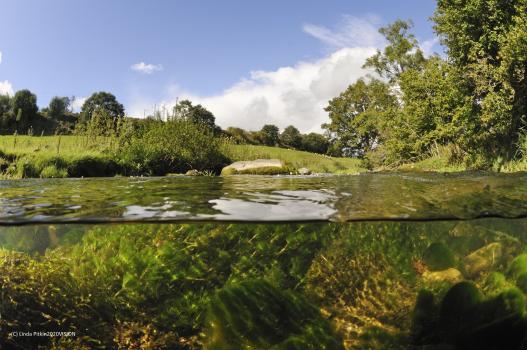 Cover image: The River Leith in Cumbria, England. Part of the River Leith near Penrith was restored in 2014 to its natural meandering course for the benefit of plants, animals and people (© Linda Pitkin/2020VISION). Cover image: The River Leith in Cumbria, England. Part of the River Leith near Penrith was restored in 2014 to its natural meandering course for the benefit of plants, animals and people (© Linda Pitkin/2020VISION).
