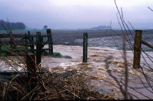 Swollen river with sediment. Photograph courtesy of Nikki Baggaley Swollen river with sediment. Photograph courtesy of Nikki Baggaley