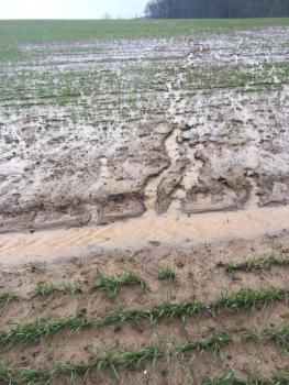 Soil Structure and Field Drainage ; Cover photograph courtesy of: Rebecca Hall, University of Aberdeen Soil Structure and Field Drainage ; Cover photograph courtesy of: Rebecca Hall, University of Aberdeen