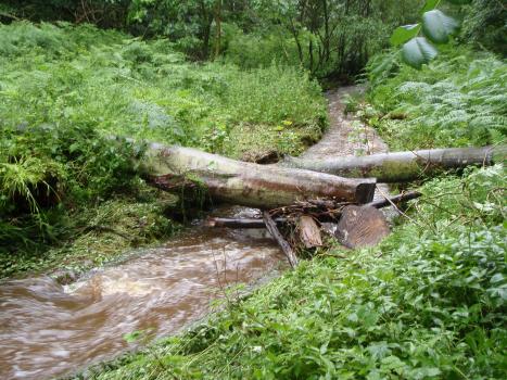 Wood placement flooded; Cover photograph courtesy of: The James Hutton Institute