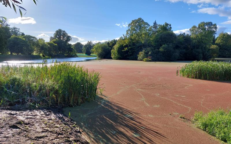 Water Quality and Health