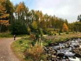 A path runs alongside a river in the foreground and forest in the background. It is a sunny, autumnal day. Photo credit: Rebekah Burman