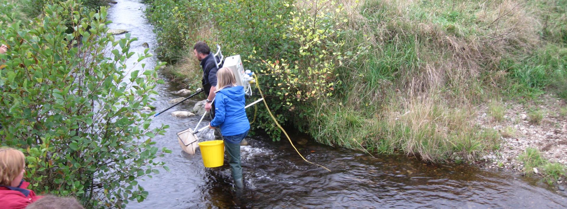 People in river conducting fish survey