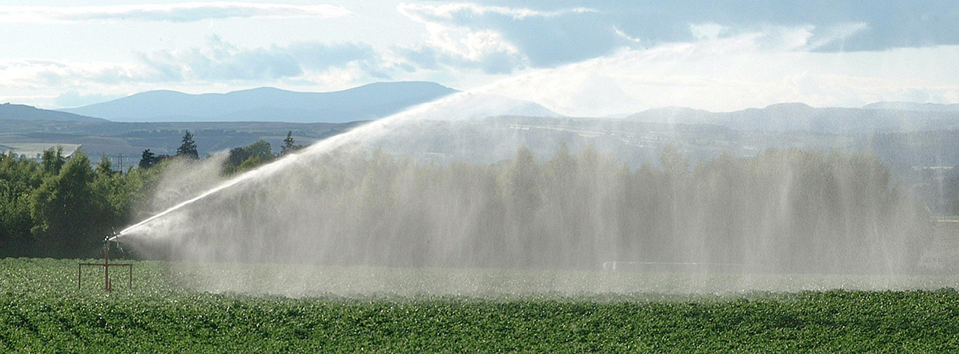 Image showing water sprayer in action