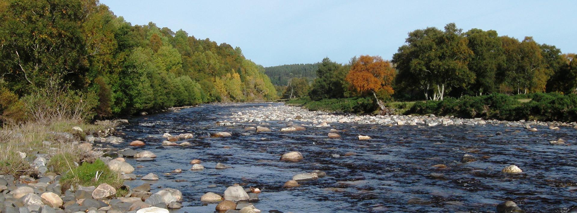 Catchment Management