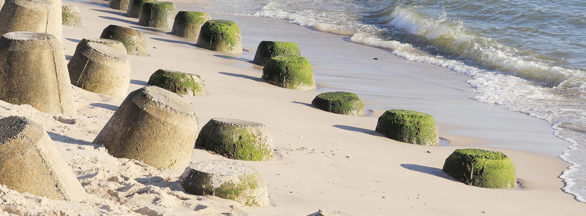 Flooding & Coastal Erosion