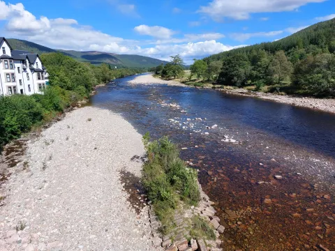The River Dee at low flow. Trees line the edge of the river, with white houses on the near left of the image. Photo credit: Rachel Helliwell.