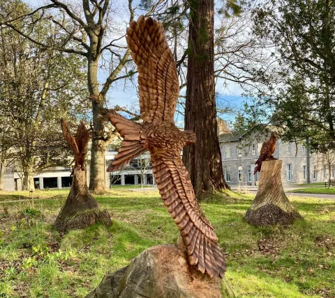 Carved wooden eagle sculptures in wooded area in front of a building. Photo credit: Nikki Dodd