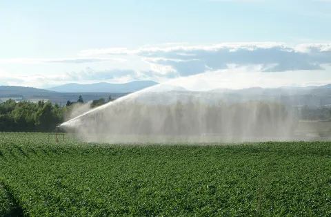 Field being irrigated with mountains in the background - Photo credit: JHI