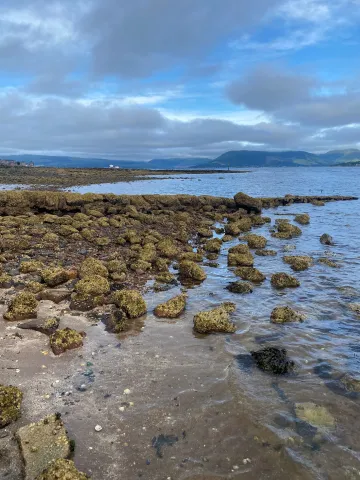 Greenock coastline with sand in the foreground, rocks in the midground, and land across the water in the background. Photo credit: Anishka Cameron