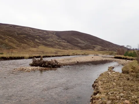 Large Wood Structure in the Clunie Water. Photo credit Angus Tree, NatureScot