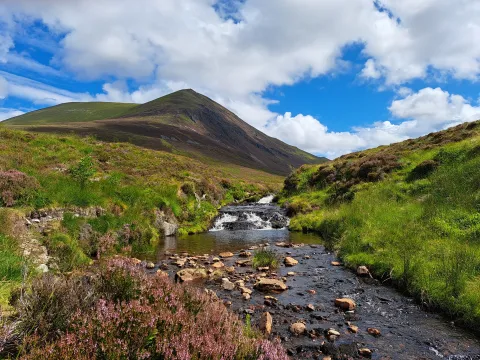 Mountain (Ben Wyvis) in the background and stream flowing through the landscape. Green grass borders the stream. Photo credit: Rebekah Burman