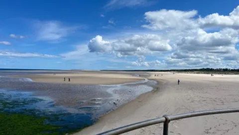View of a sandy beach. Photo credit: Lisa Avery