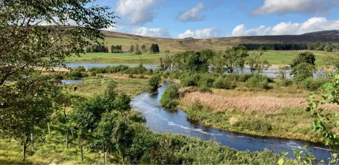 River flowing with trees planted either side. Photo Credit: Mark Wilkinson