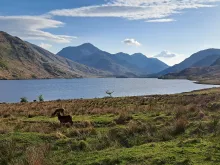 Mountain landscape, blue sky with loch in the forefront. Several deer are grazing. Photo Credit: Rebekah Burman