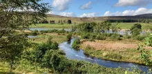 River flowing with trees planted either side. Photo Credit: Mark Wilkinson