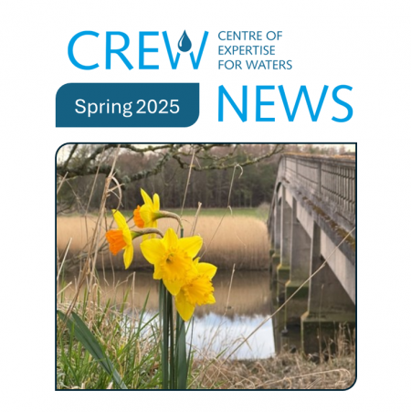 CREW NEWS Spring 2025 front cover CREW NEWS Spring 2025 front cover picture of daffodil