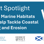 Project spotlight Scottish Marine Habitats Could Help Tackle Coastal Flooding and Erosion with CREW, Heriot Watt and Scottish Government logos