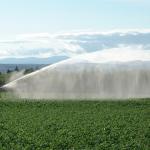 Field being irrigated with mountains in the background - Photo credit: JHI