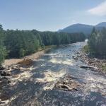 River Dee with a tree line either side. A hill can be seen in the background. Photo credit: Rachel Helliwell