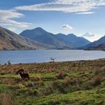 Mountain landscape, blue sky with loch in the forefront. Several deer are grazing. Photo Credit: Rebekah Burman