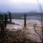 Swollen river with sediment. Photograph courtesy of Nikki Baggaley