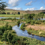 River with trees planted either side. Photo credit: Mark Wilkinson