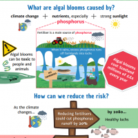 Project Infographic
