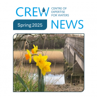 CREW NEWS Spring 2025 front cover picture of daffodil