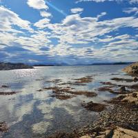 Scottish Coastline - Photo credit: Rebekah Burman, James Hutton Institute