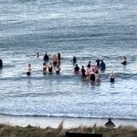 Wild_swimming_at_beach
