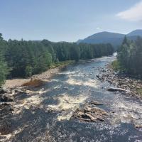 River Dee with a tree line either side. A hill can be seen in the background. Photo credit: Rachel Helliwell