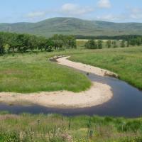 Tree planting along riverside - Photo credit: Steve Addy