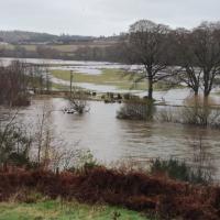 Flooded Field - Photo Credit: Gordon Henderson