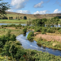 River with trees planted either side. Photo credit: Mark Wilkinson