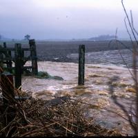 Swollen river with sediment. Photograph courtesy of Nikki Baggaley