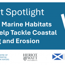 Project spotlight Scottish Marine Habitats Could Help Tackle Coastal Flooding and Erosion with CREW, Heriot Watt and Scottish Government logos